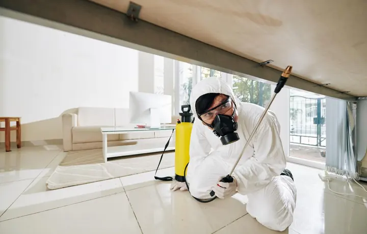 Cockroach control in an indoor property