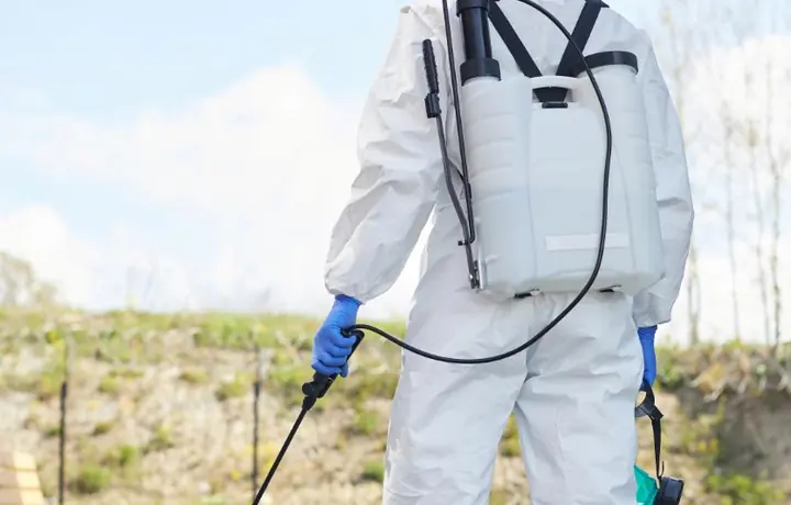 Rodent control around a property edge