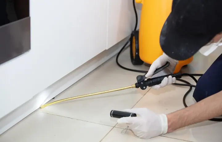 Termite treatment near a building foundation
