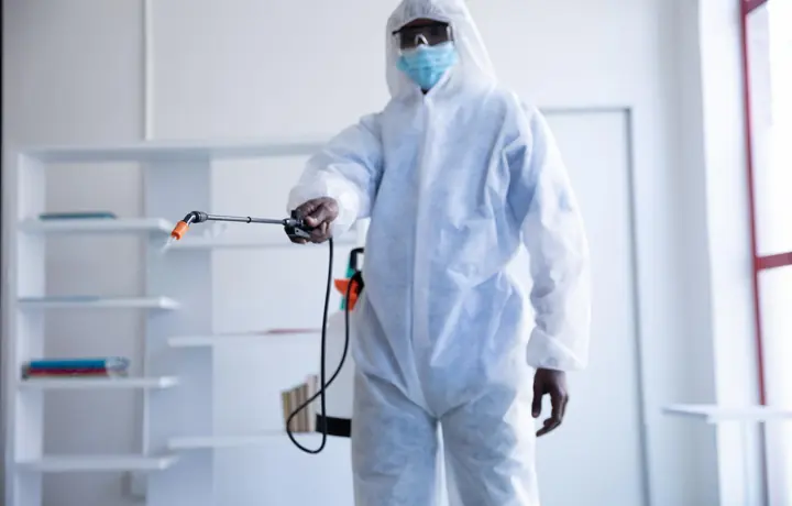Bed bug control treatment indoors
