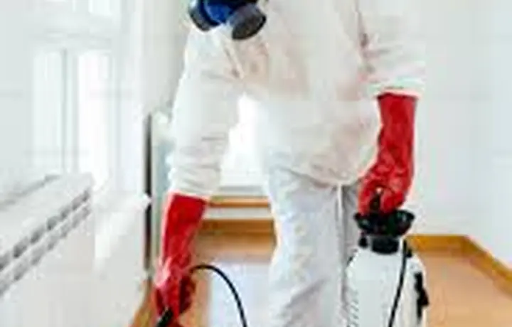 Spider control around a property perimeter