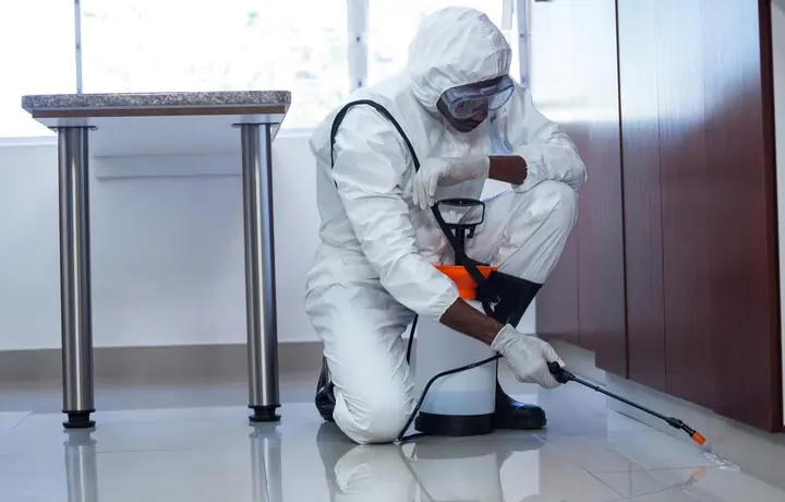 Flea control service in a home