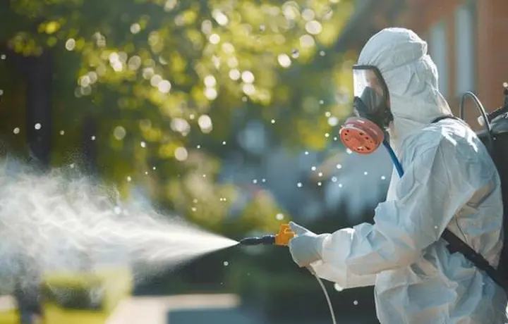 Wasp control around an exterior edge