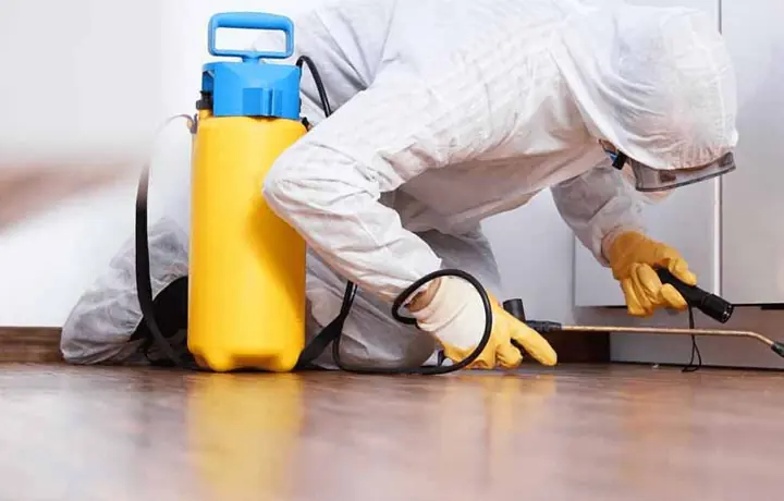 Silverfish control in a property